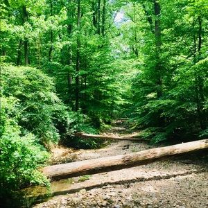 Meet your Posher, Gretchen.